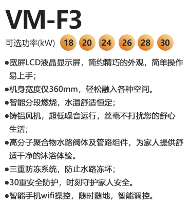 瑞馬VM-F3系列燃?xì)獗趻鞝t